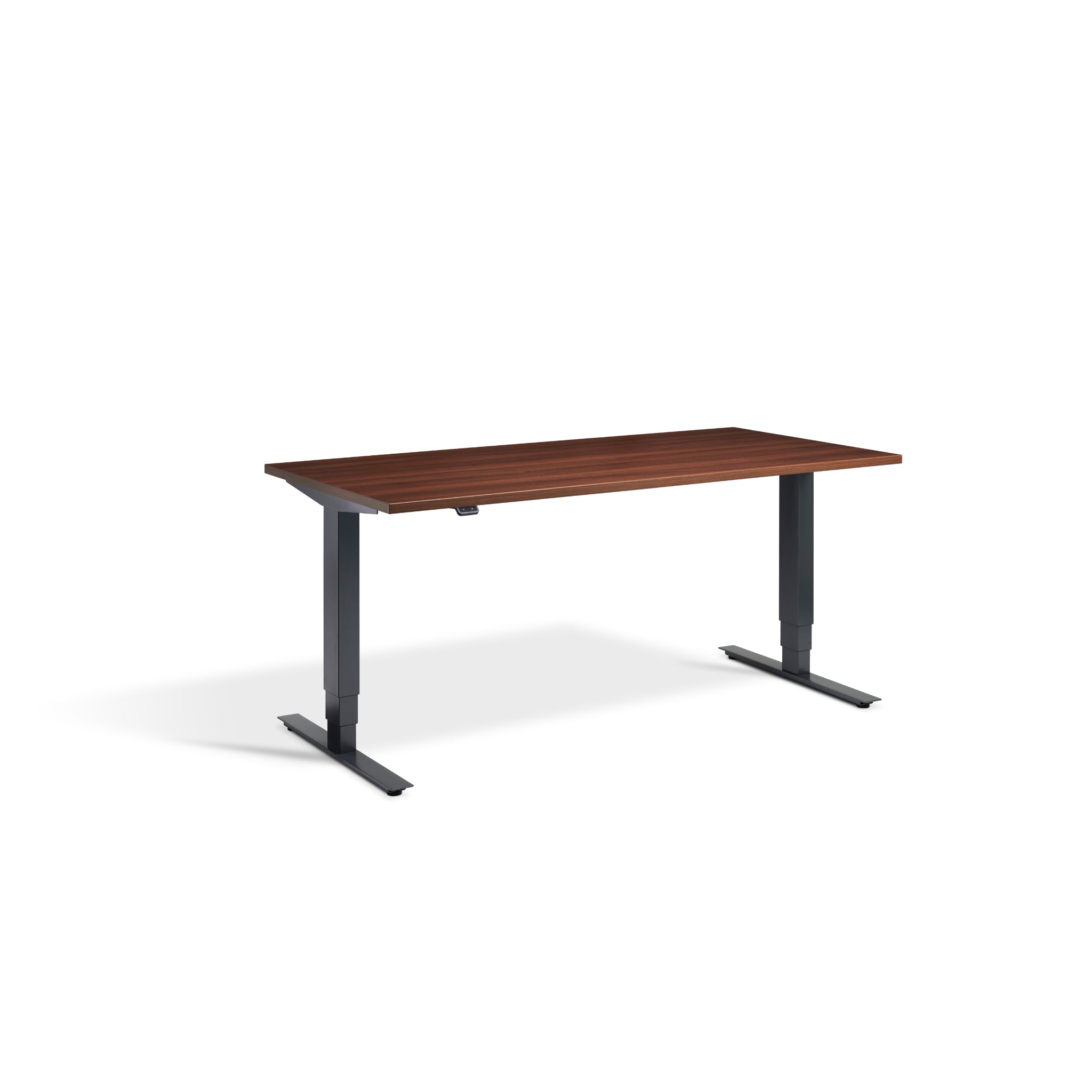 Quiet Motor Standing Desk with Anthracite Frame and Natural Dijon Walnut Desktop