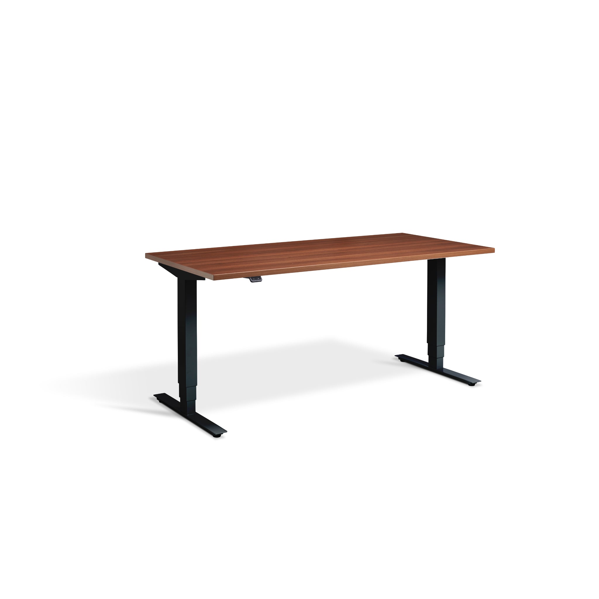 Quiet Motor Standing Desk with Black Frame and Natural Dijon Walnut Desktop