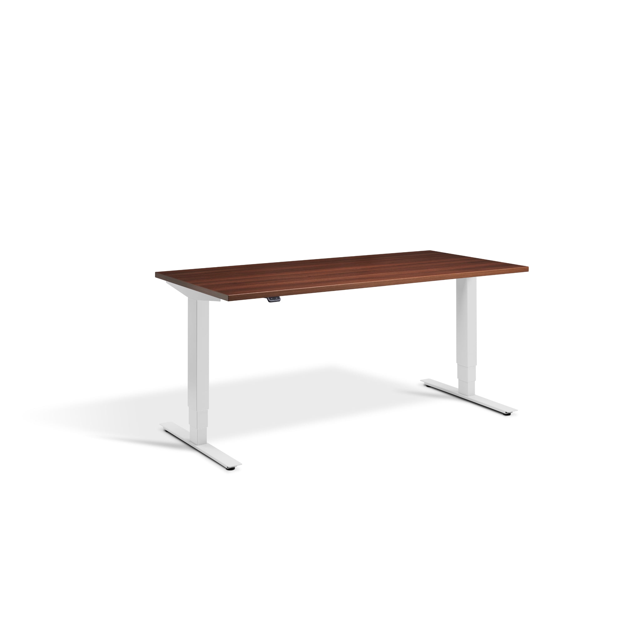 Quiet Motor Standing Desk with Light Grey Frame and Natural Dijon Walnut Desktop