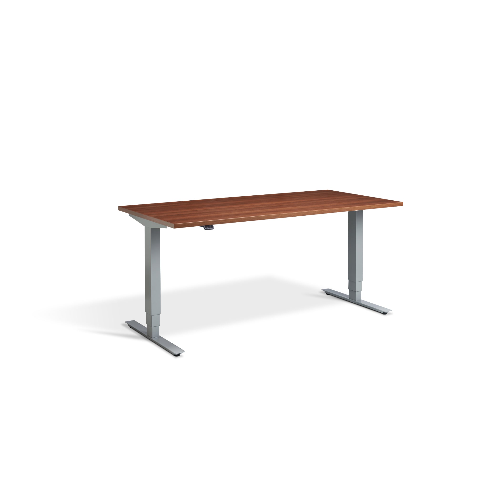 Quiet Motor Standing Desk with Silver Frame and Natural Dijon Walnut Desktop
