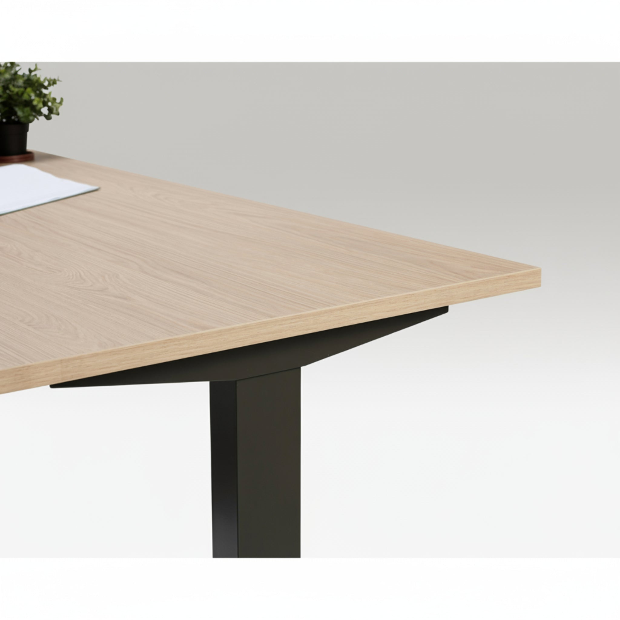 Close-up of Quiet Motor Standing Desk wooden desktop with black leg, showing plant and notebook in corner