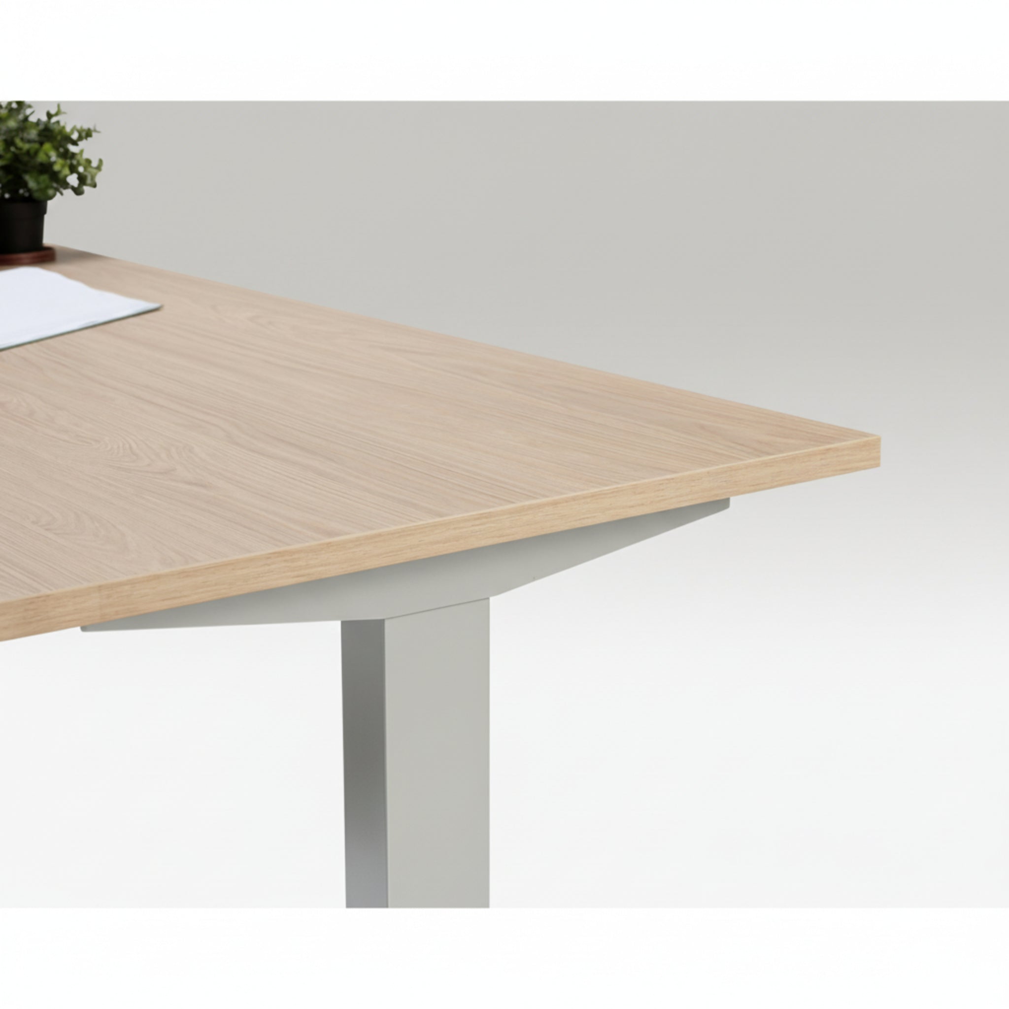 Close-up of Quiet Motor Standing Desk wooden desktop with silver leg, showing plant and notebook in corner