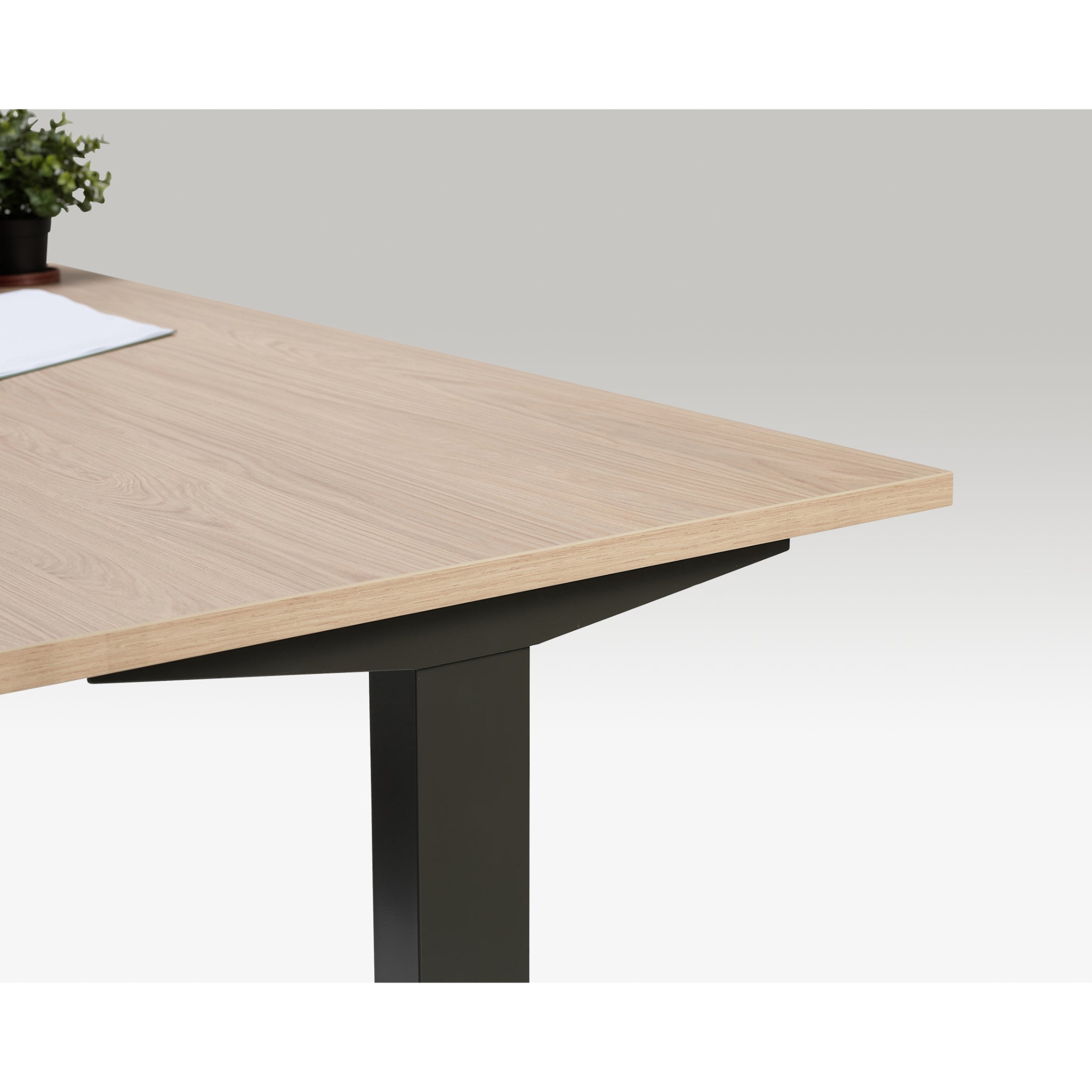 Close-up of Quiet Motor Standing Desk wooden desktop with anthracite leg, showing plant and notebook in corner