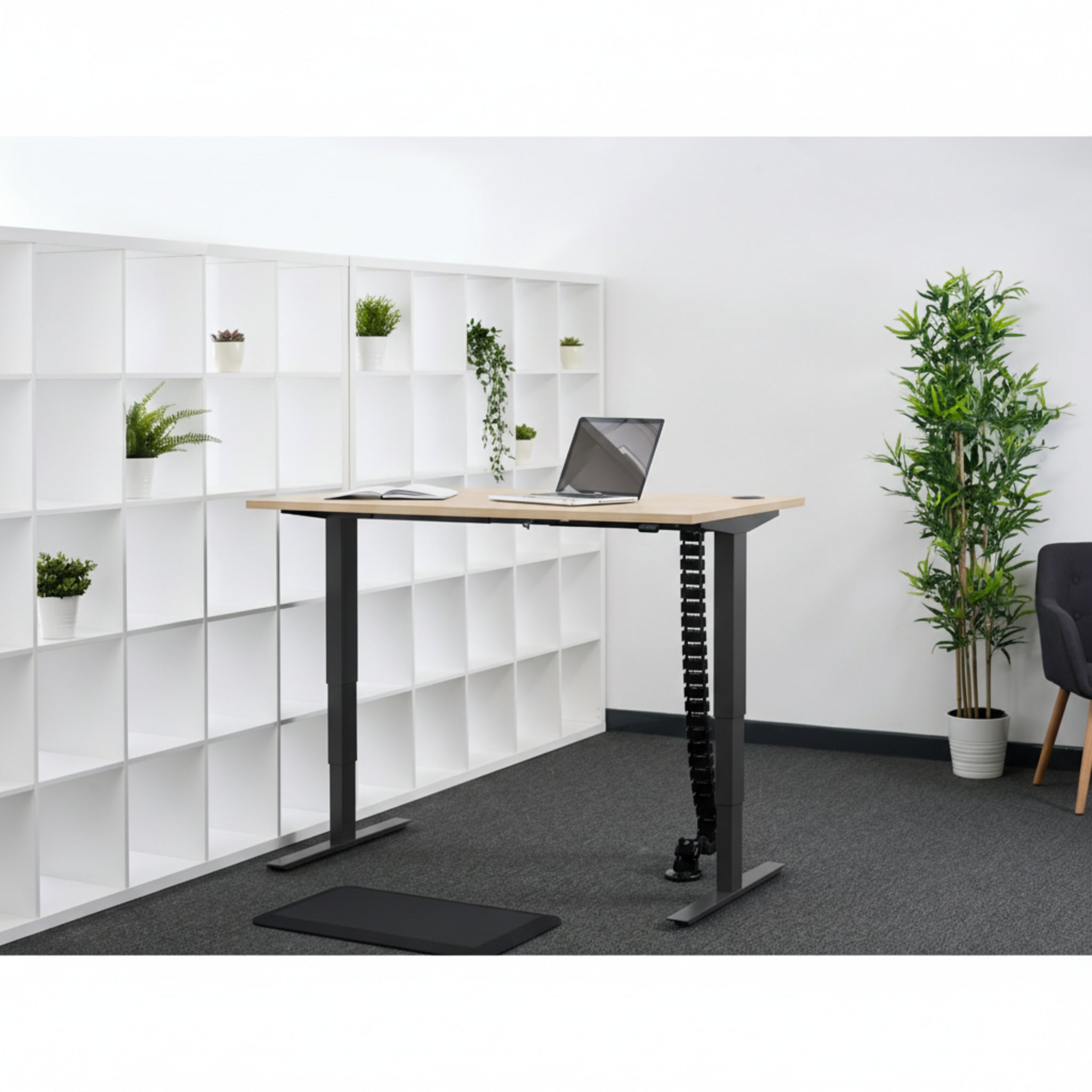 Quiet Motor Standing Desk with wooden desktop featuring notebook, laptop, cable extension, shelves with plants, and chair
