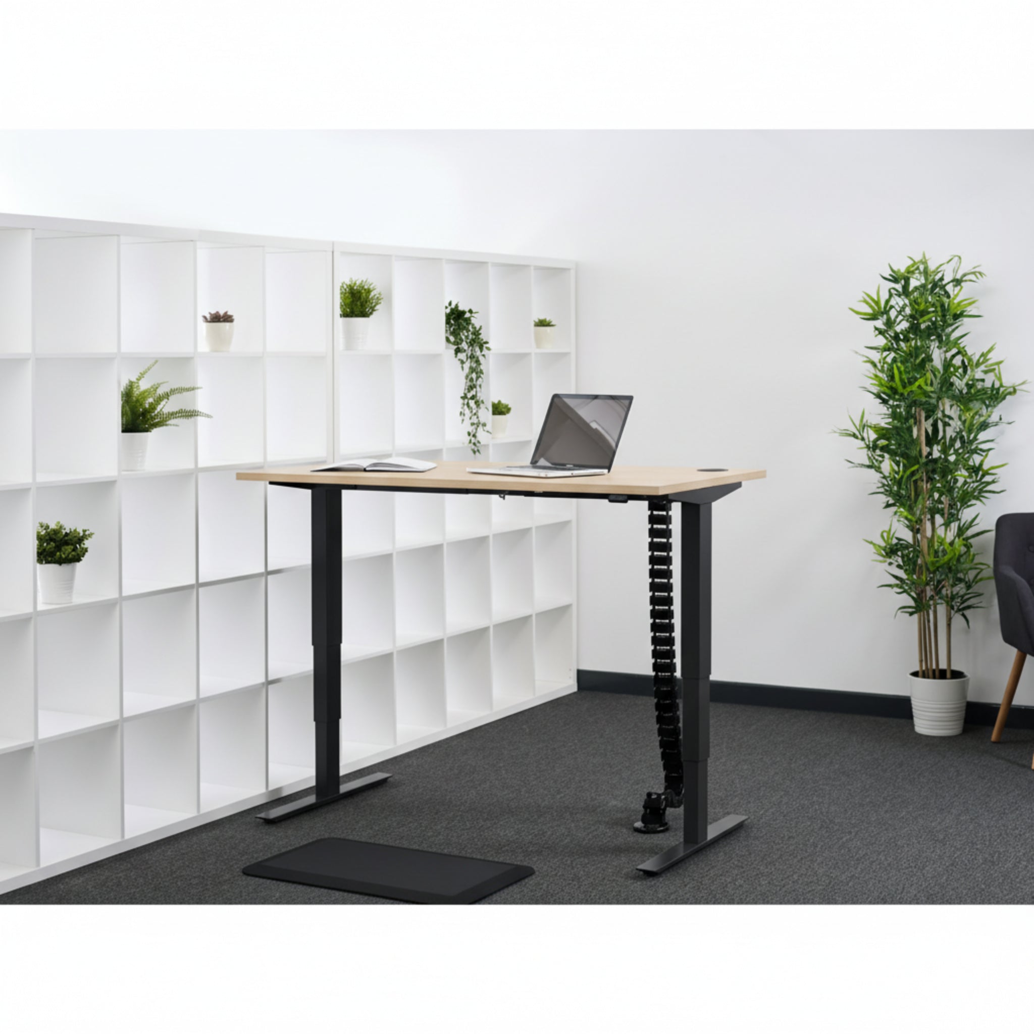 Quiet Motor Standing Desk with wooden desktop featuring notebook, laptop, cable extension, shelves with plants, and chair