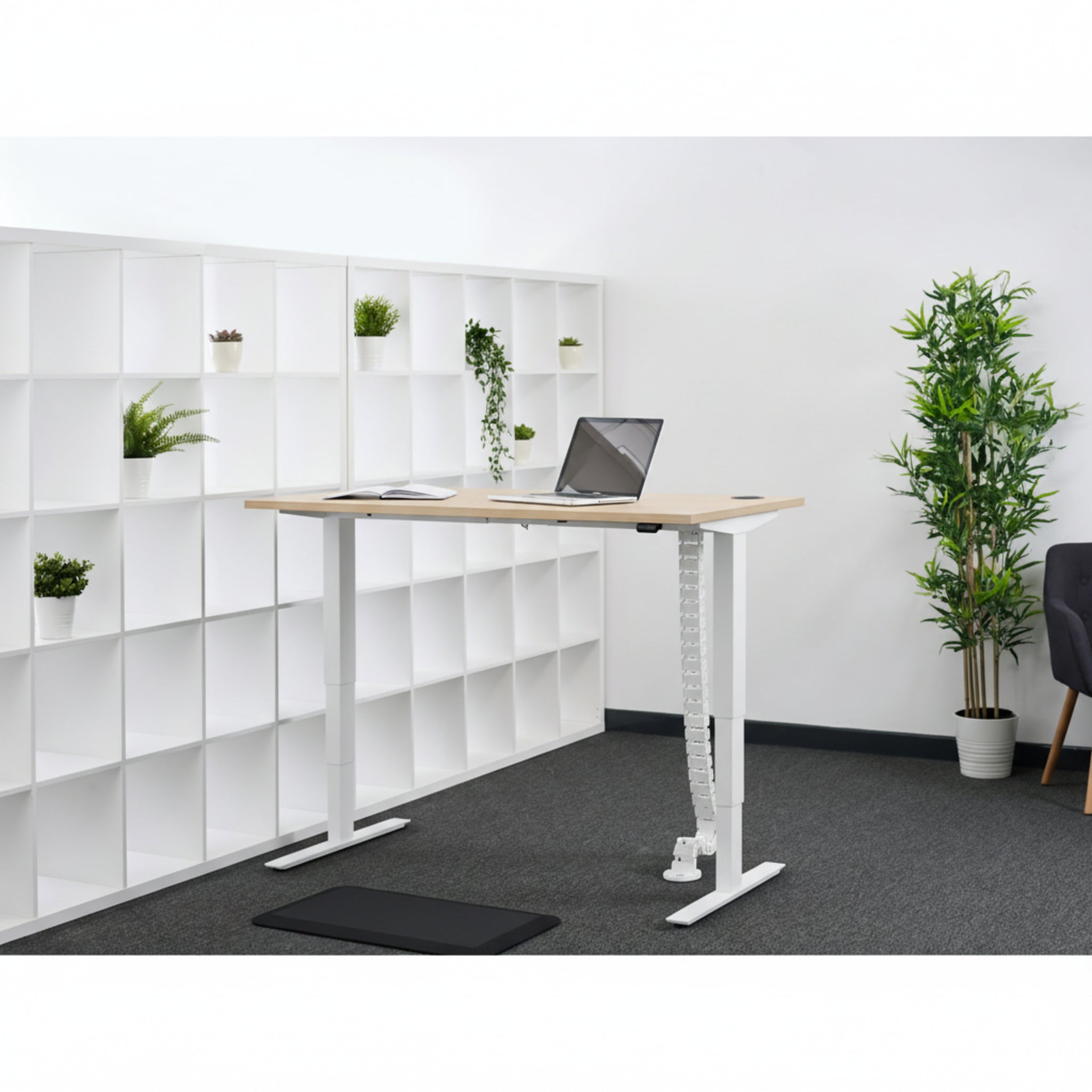 Quiet Motor Standing Desk with wooden desktop featuring notebook, laptop, cable extension, shelves with plants, and chair