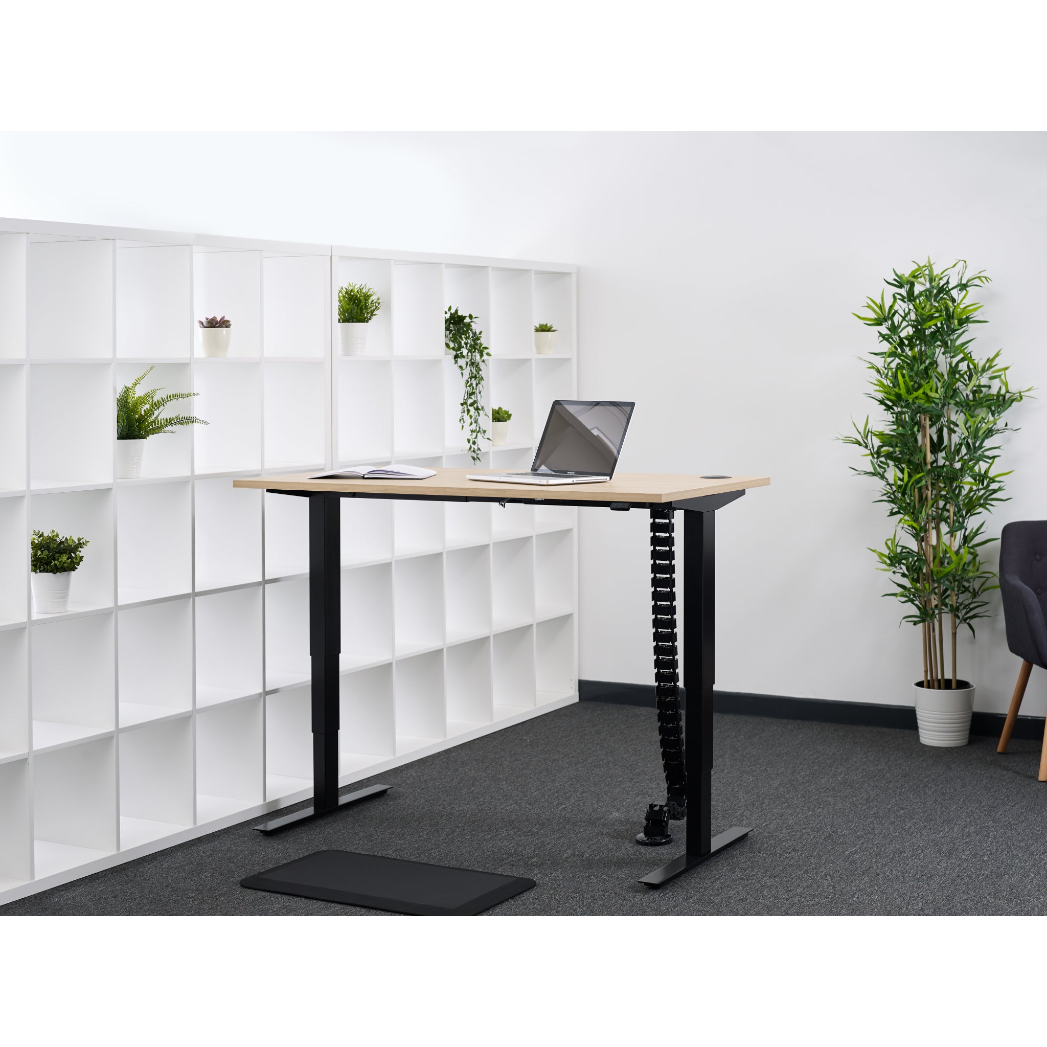 Quiet Motor Standing Desk with wooden desktop featuring notebook, laptop, cable extension, shelves with plants, and chair