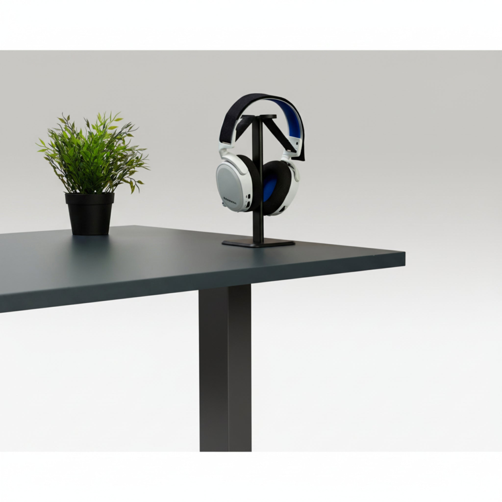 Quiet Motor Standing Desk with black headphone stand and headphones on grey desktop next to small potted plant