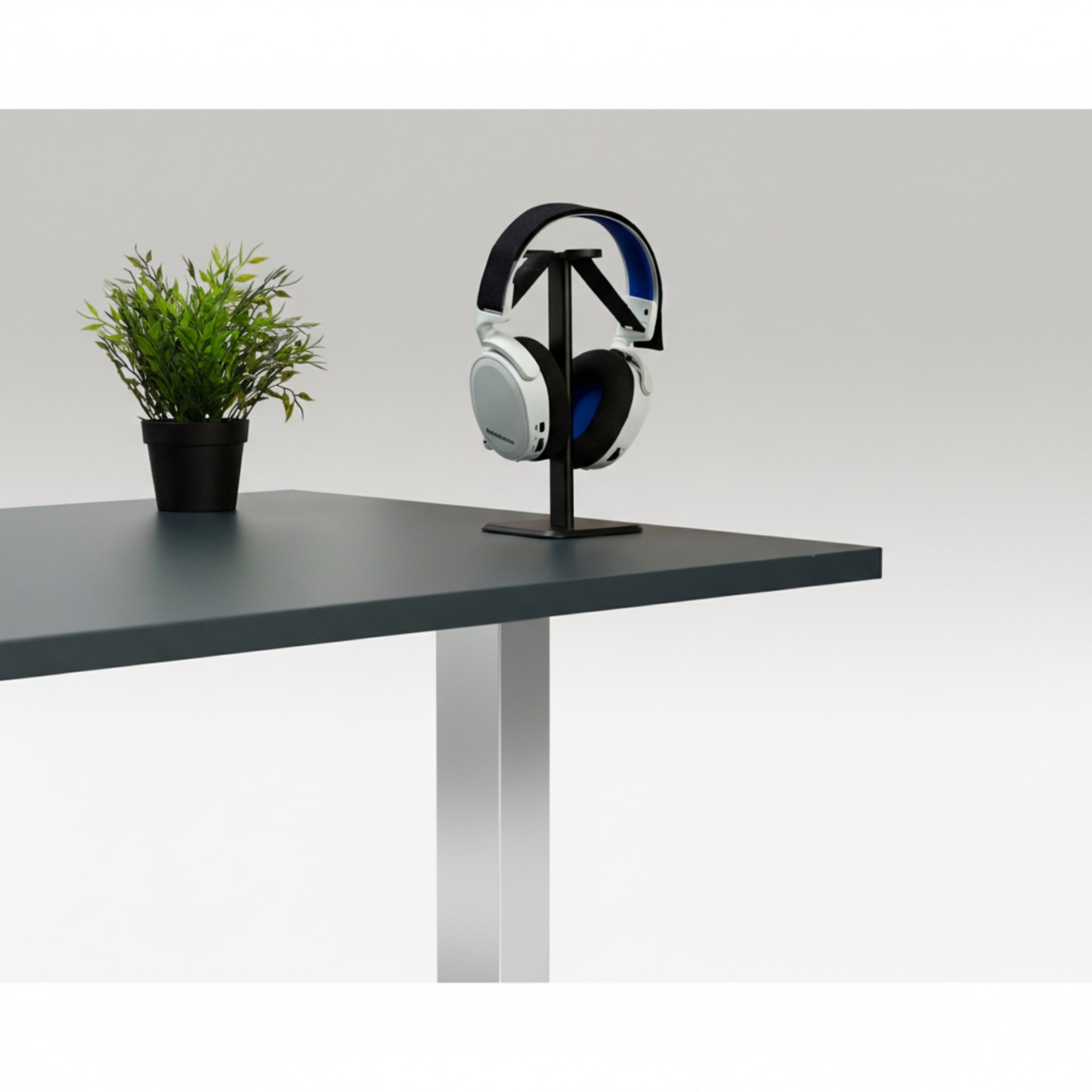 Quiet Motor Standing Desk with black headphone stand and headphones on grey desktop next to small potted plant