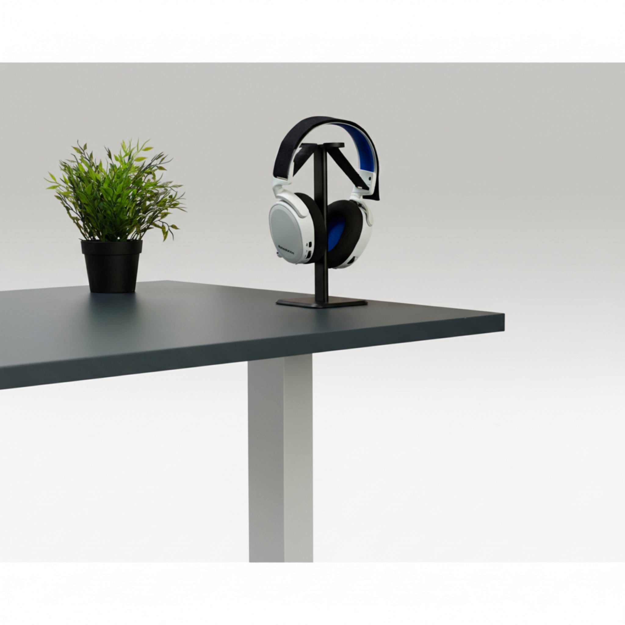 Quiet Motor Standing Desk with black headphone stand and headphones on grey desktop next to small potted plant