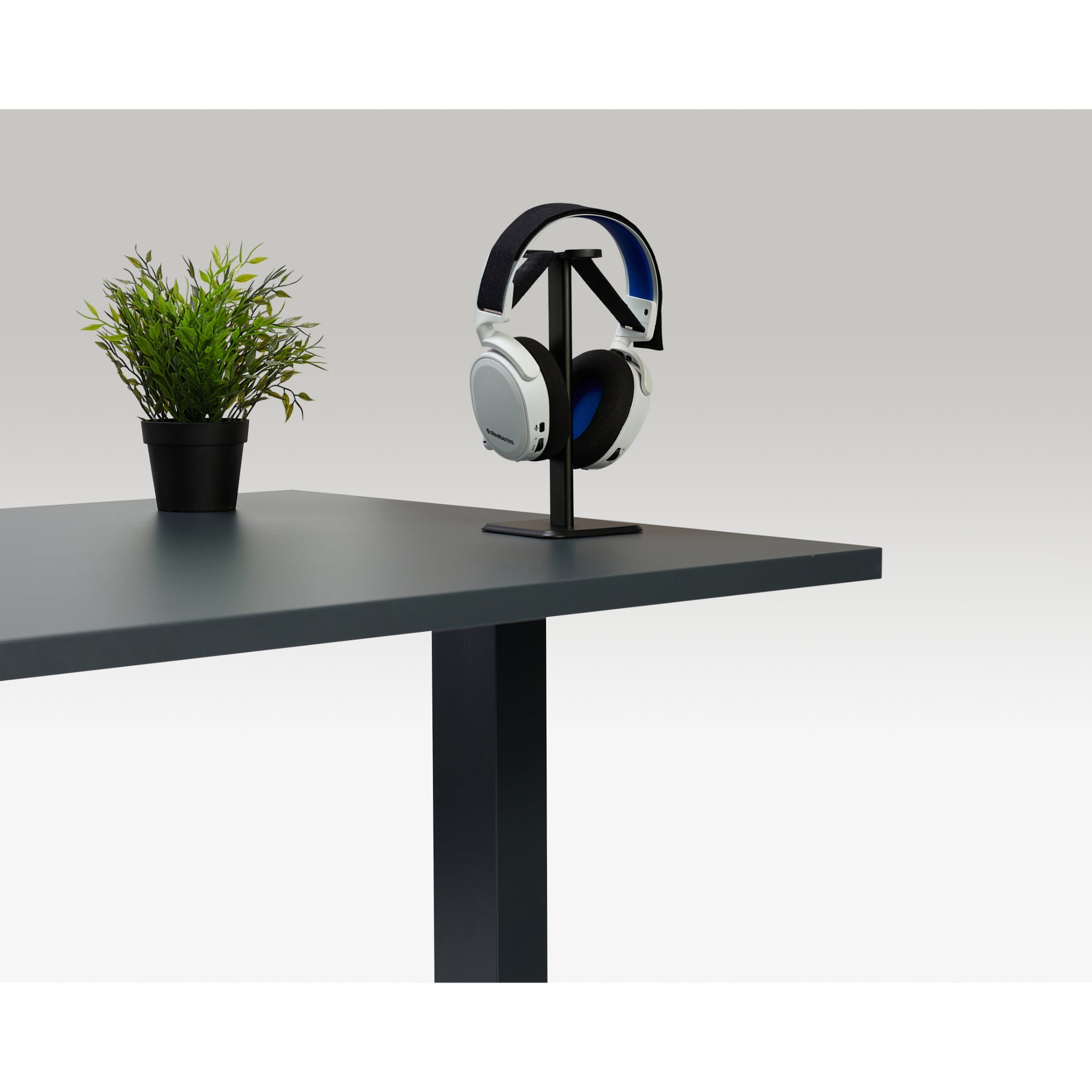 Quiet Motor Standing Desk with black headphone stand and headphones on grey desktop next to small potted plant